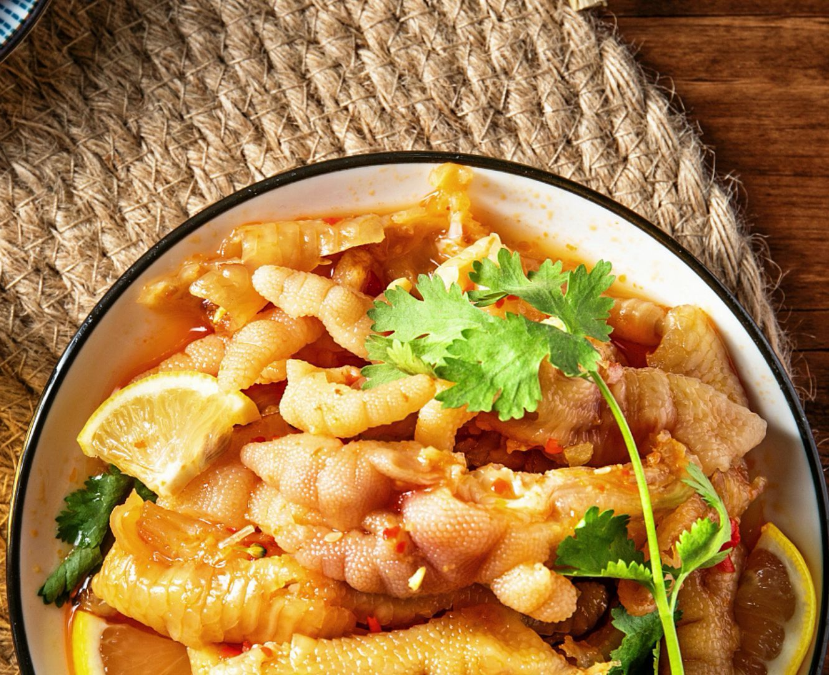 Bear House Singapore