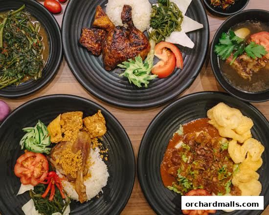 Bebek Goreng Pak Ndut Lucky Plaza