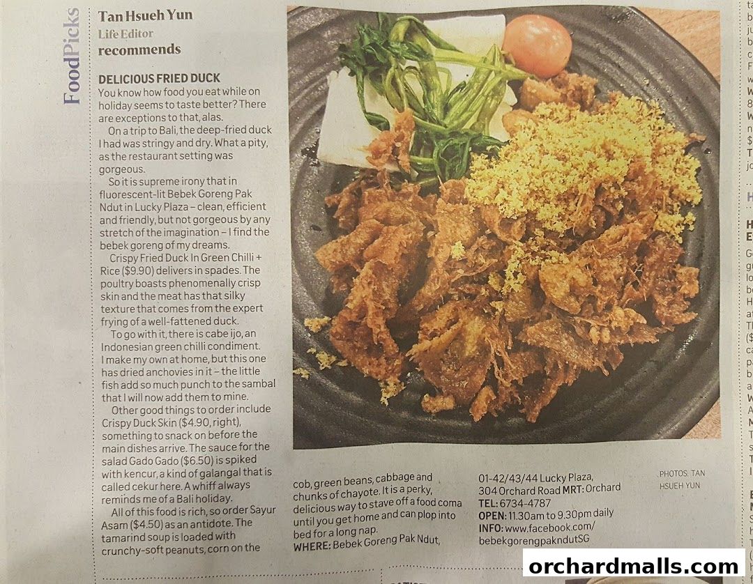 Bebek Goreng Pak Ndut Lucky Plaza