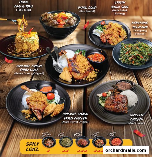 Bebek Goreng Pak Ndut Lucky Plaza