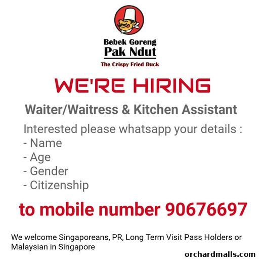 Bebek Goreng Pak Ndut Lucky Plaza