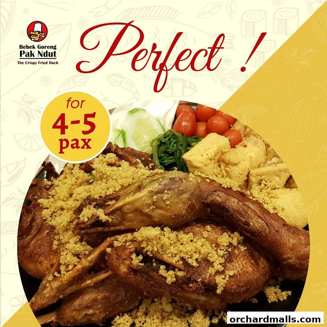 Bebek Goreng Pak Ndut Lucky Plaza