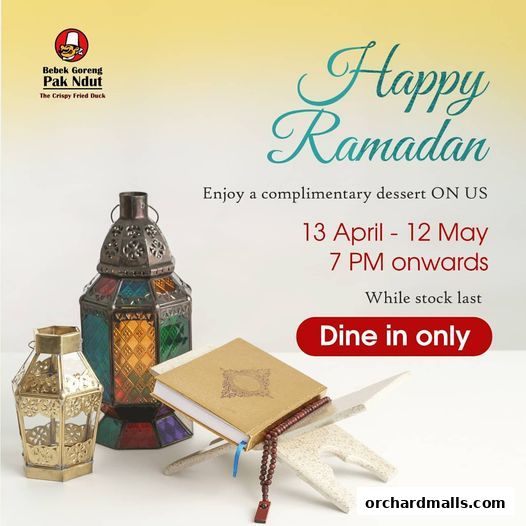 Bebek Goreng Pak Ndut Lucky Plaza