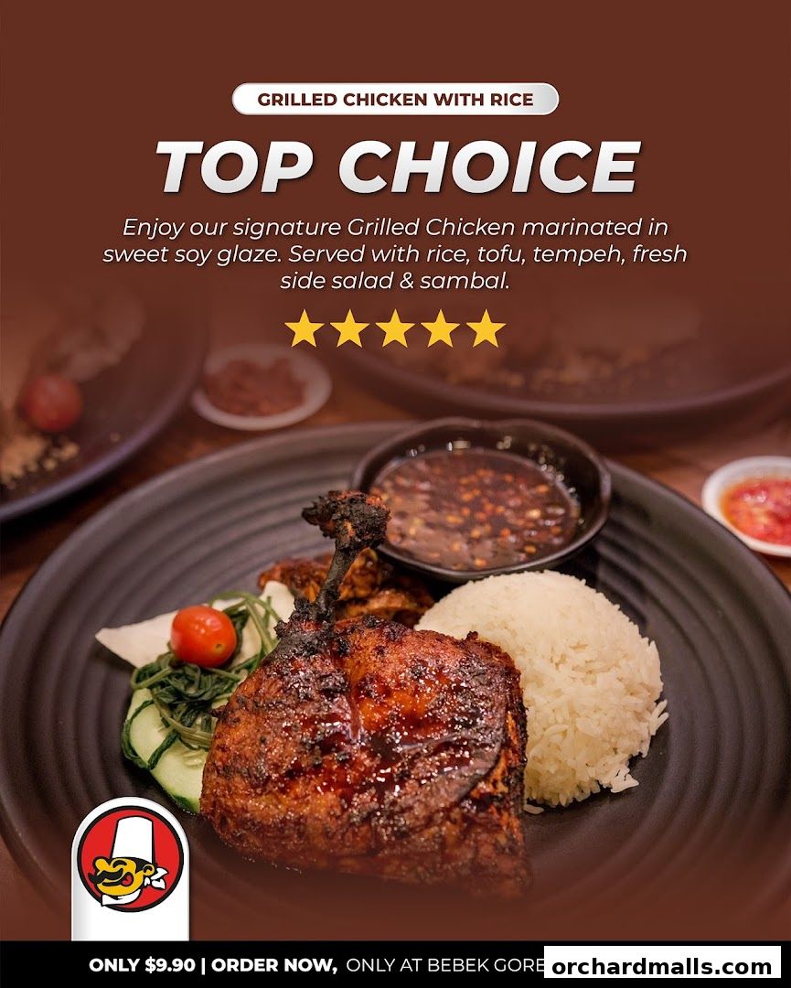 Bebek Goreng Pak Ndut Lucky Plaza