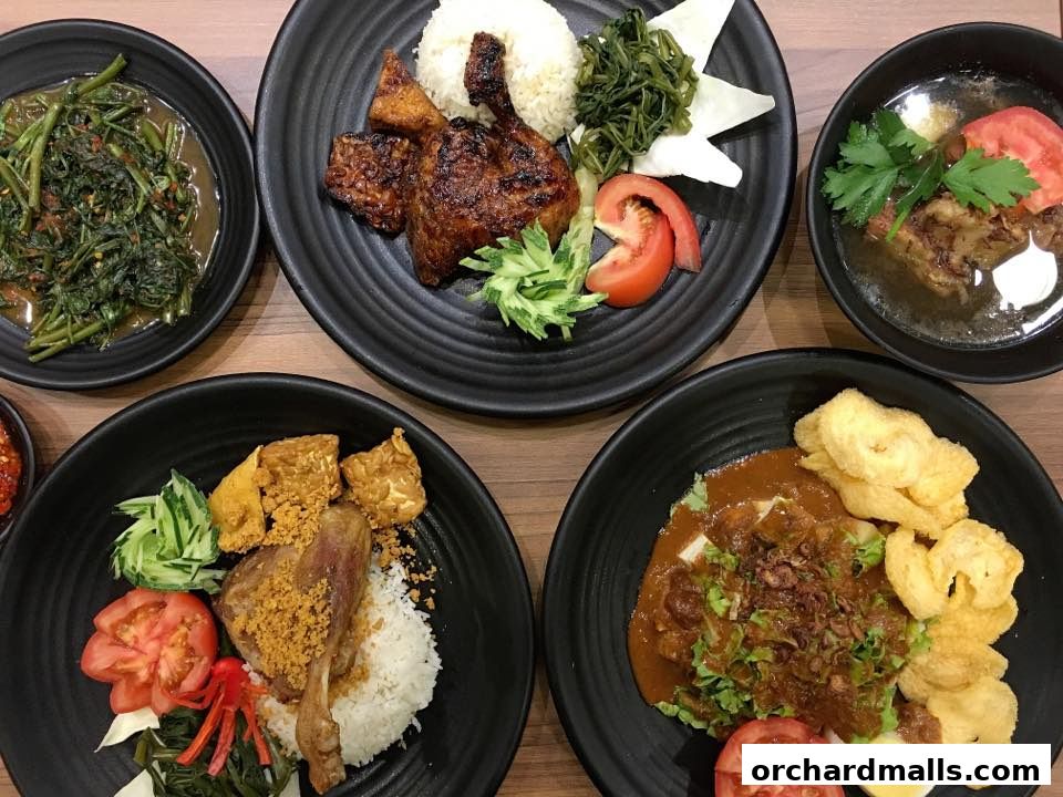 Bebek Goreng Pak Ndut Lucky Plaza