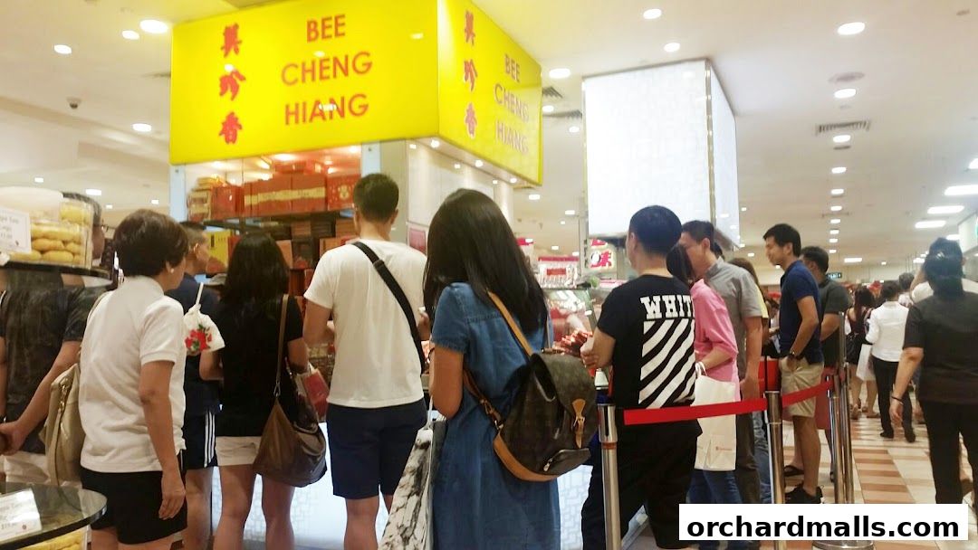 A queue of customers waiting outside the Bee Cheng Hiang store at Takashimaya.