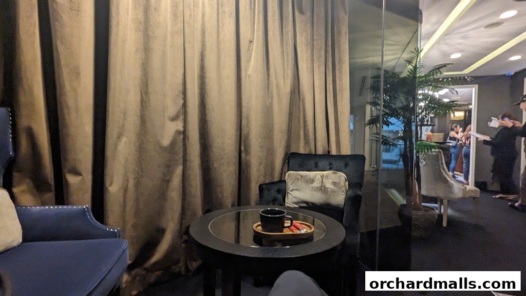 Interior of a luxurious waiting area with plush seating and elegant decor.