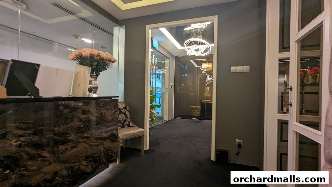 Elegant reception area with a marble counter, flowers, and an open doorway to treatment rooms.