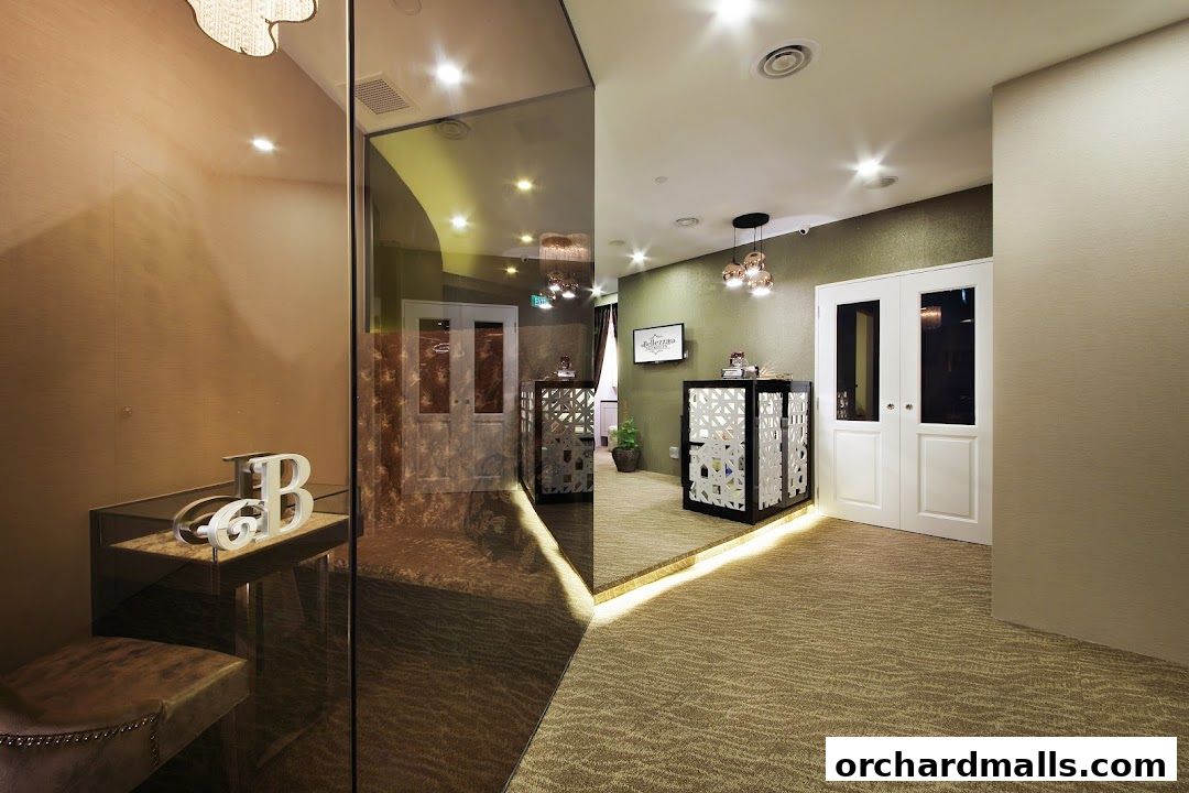 Interior view of Bellezza Aesthetics with a reception desk and elegant decor.