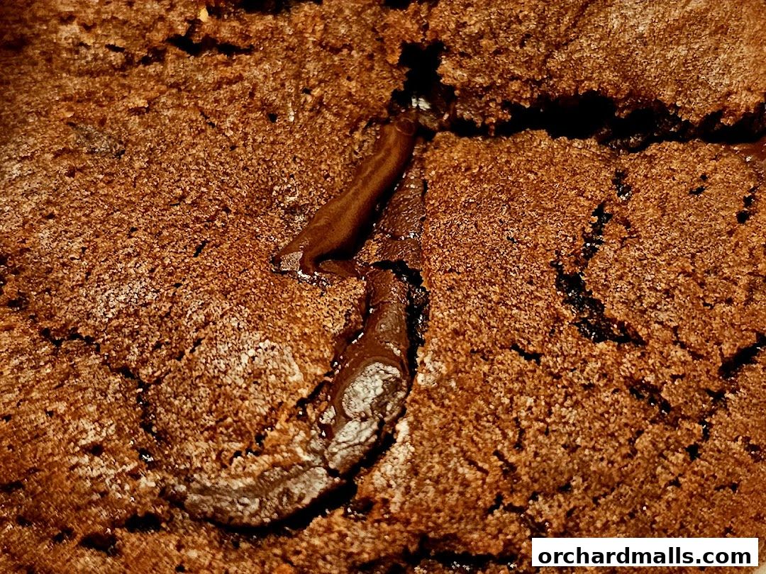 Bens Cookies Wisma Atria Singapore