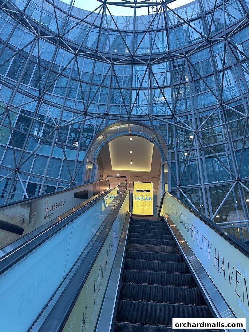 Escalators leading up to a brightly lit area with advertisements.