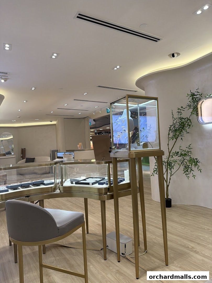 Interior of a jewelry store with display cases and a chair.