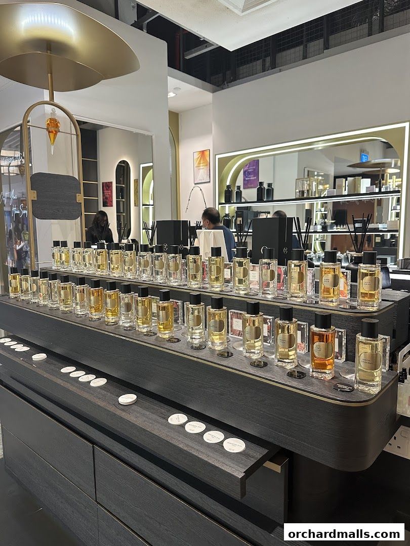 Interior view of a perfume shop with rows of fragrance bottles displayed.