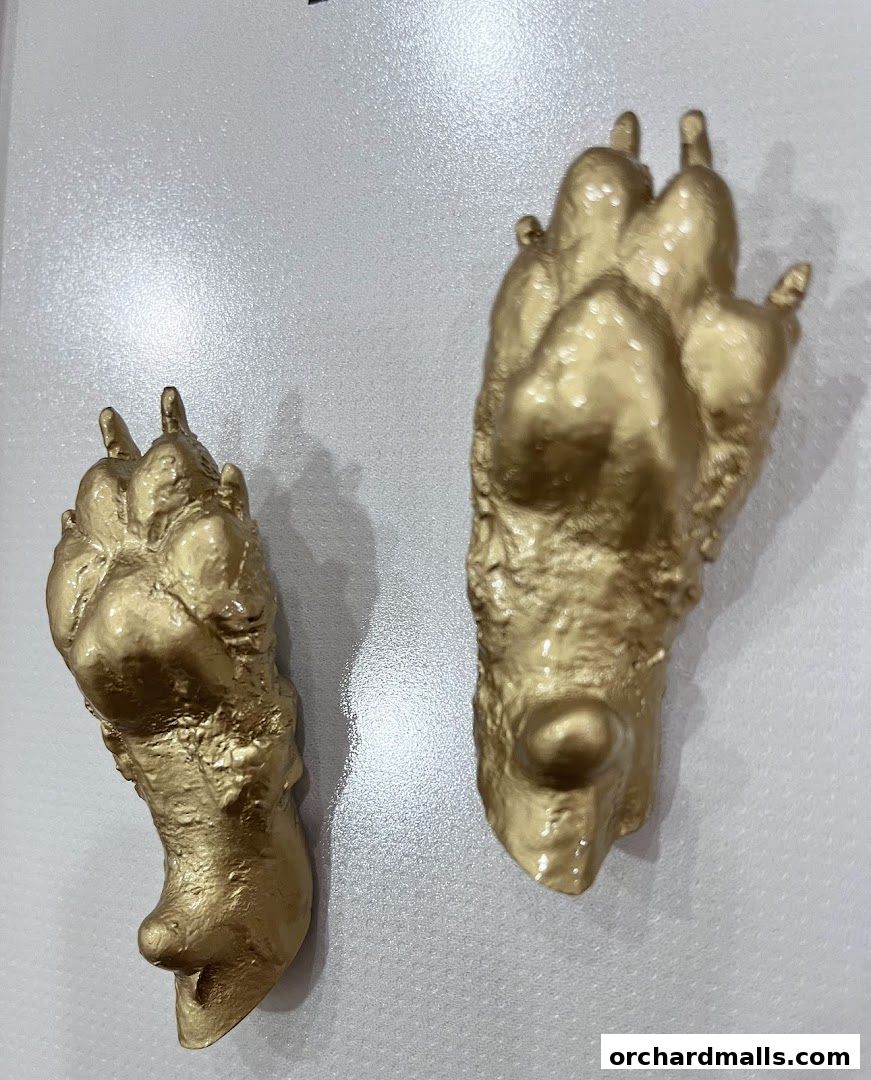 Best Imprezzione - 3D Hand  Foot Imprints and Casting