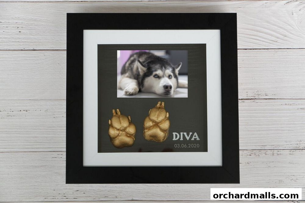 Best Imprezzione - 3D Hand  Foot Imprints and Casting