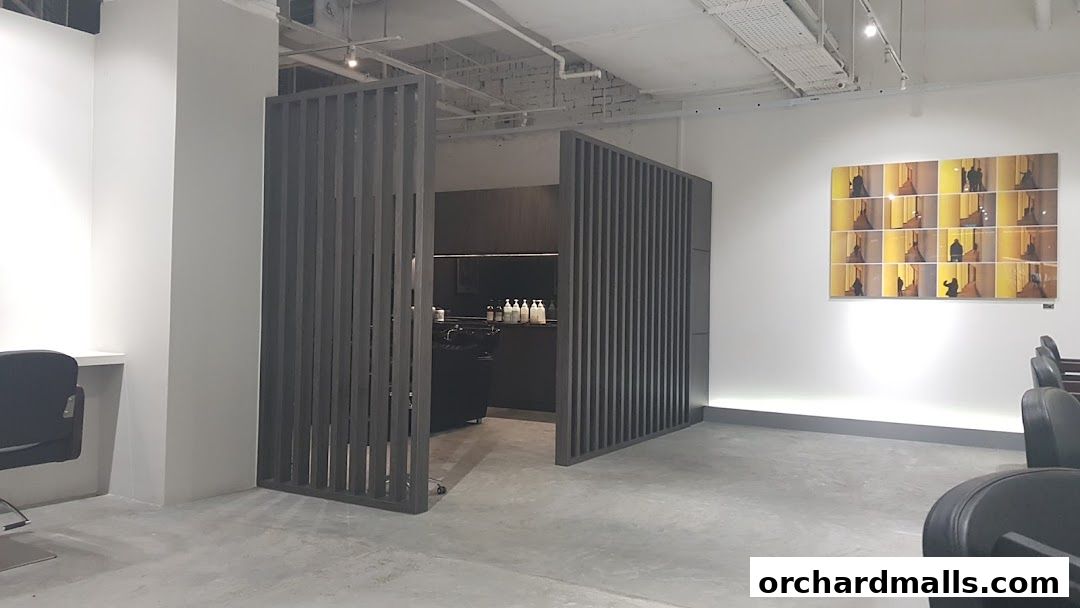 Best Singapore Salon Yann Beyrie