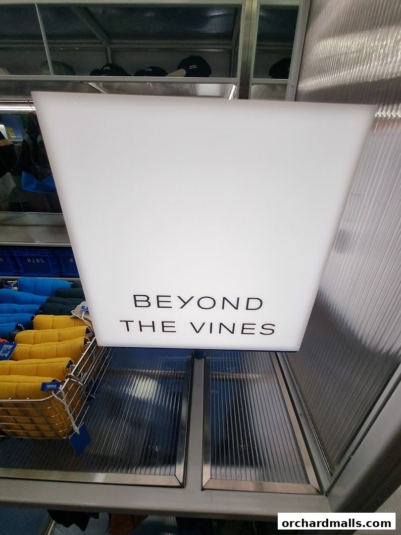 A glowing sign with 'BEYOND THE VINES' text above a display of yellow and blue items.