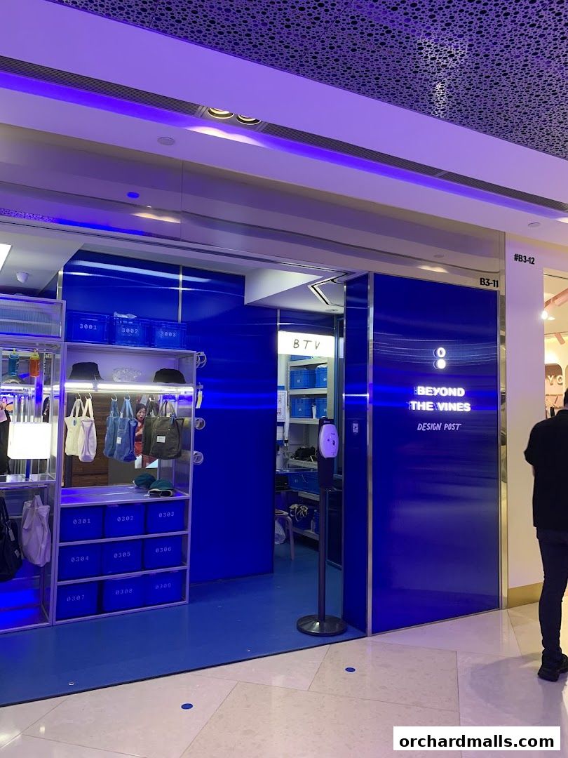The entrance of Beyond The Vines Design Post shop with blue interior and displayed bags.