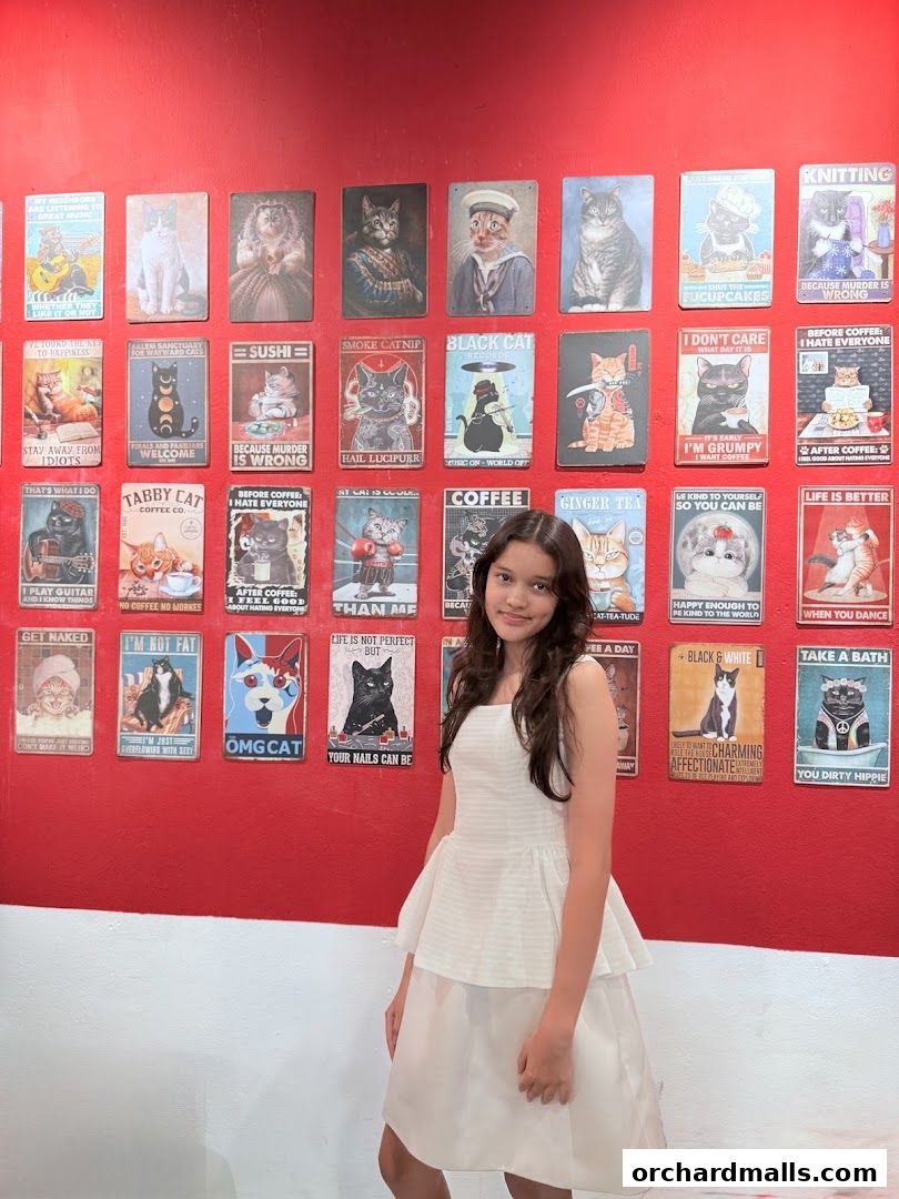 A young girl in a white dress poses in front of a wall decorated with cat-themed metal signs.