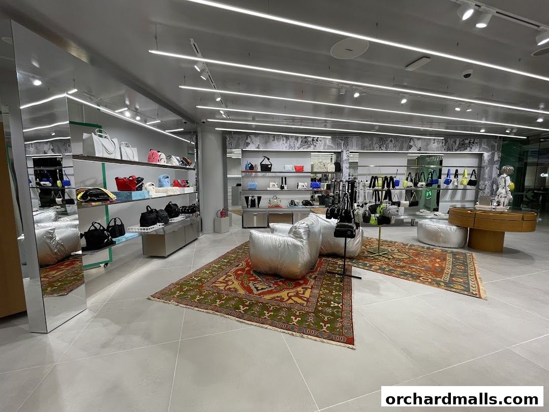 Interior view of a stylish BIMBA Y LOLA store showcasing handbags and accessories on shelves and displays.