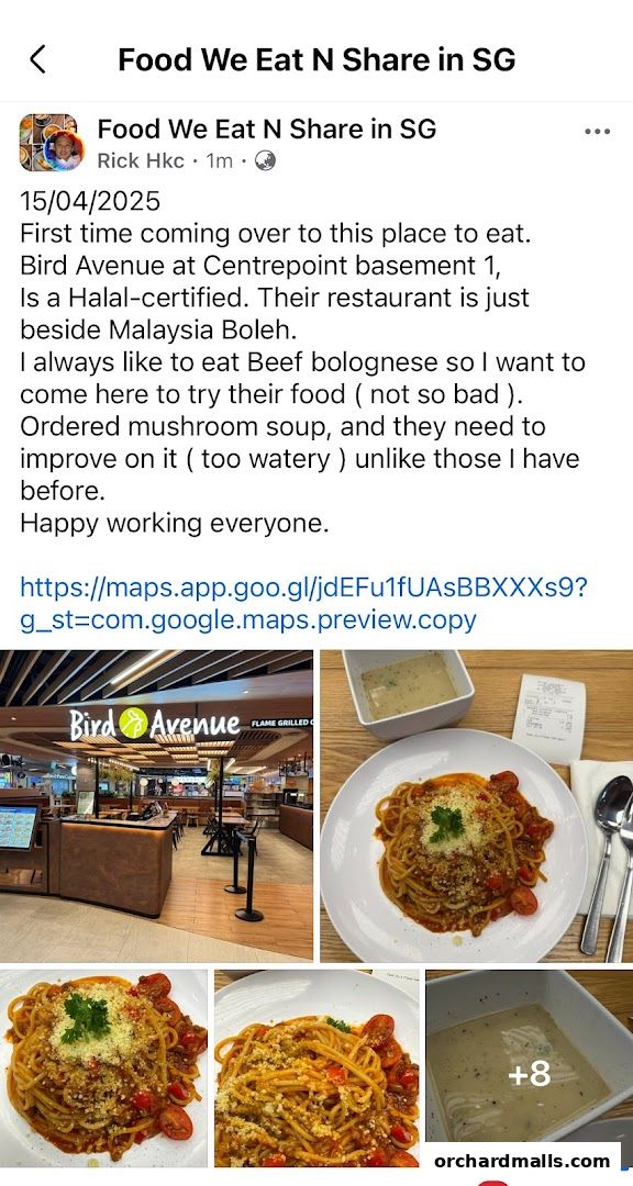 Bird Avenue - The Centrepoint