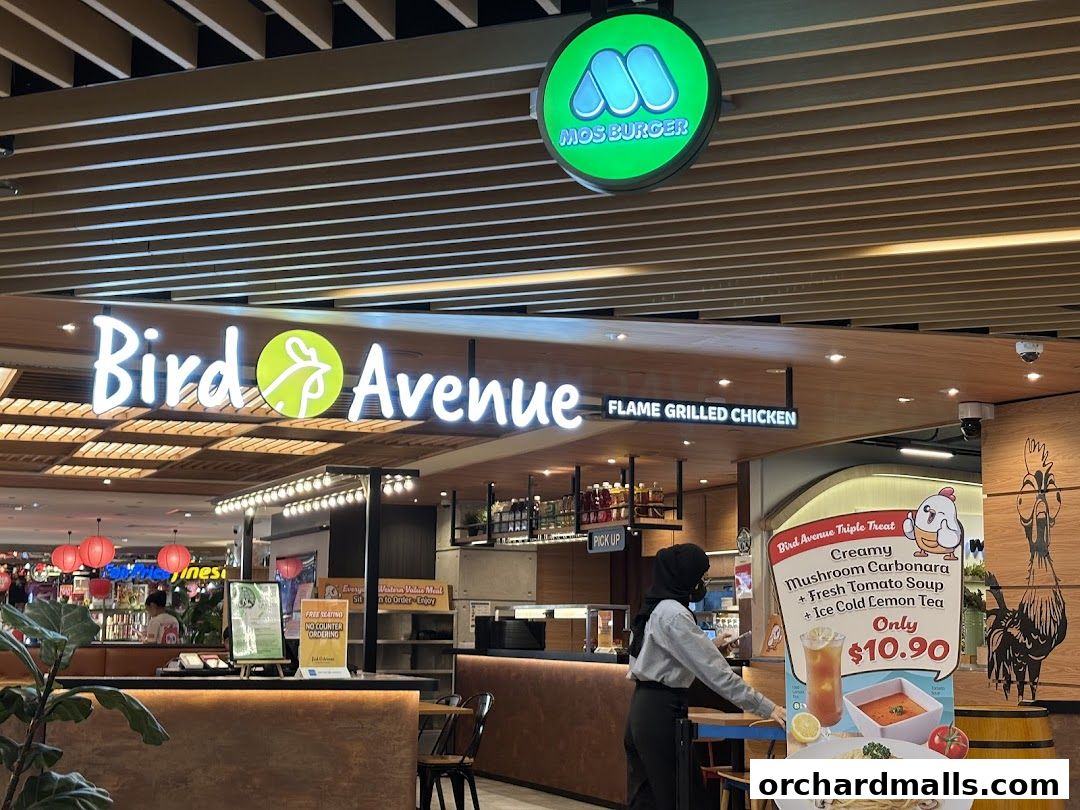 Bird Avenue - The Centrepoint