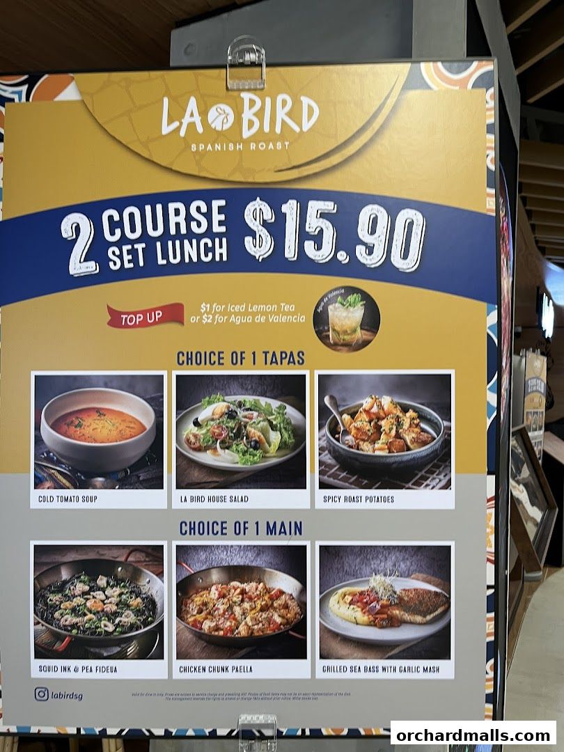 Bird Avenue - The Centrepoint