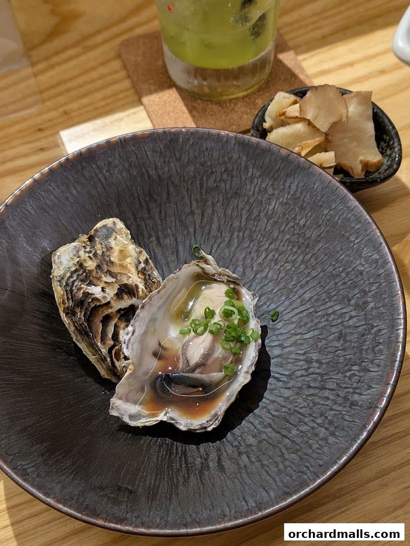 A close-up of two fresh oysters served on a dark plate with a side of pickled ginger and a drink.