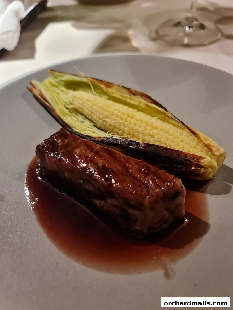 A gourmet dish featuring a piece of meat and corn on a plate.