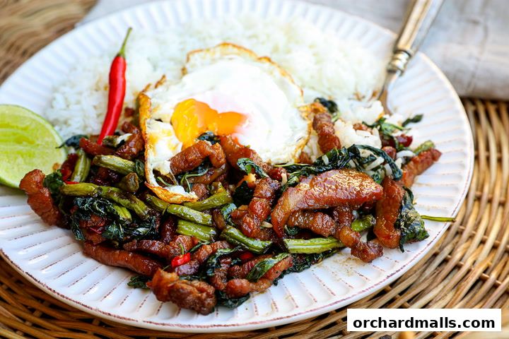 A plate of Thai stir-fried pork with basil, served with rice and a fried egg.