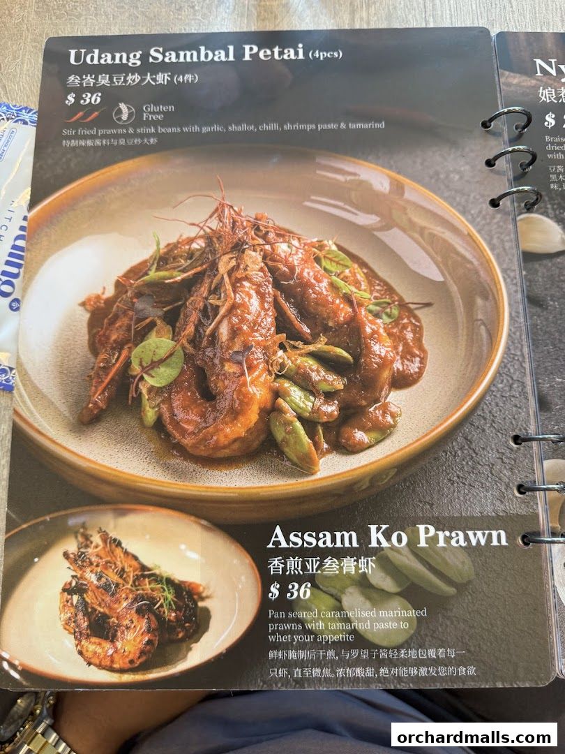 Menu page for Bonding Kitchen Orchard Singapore