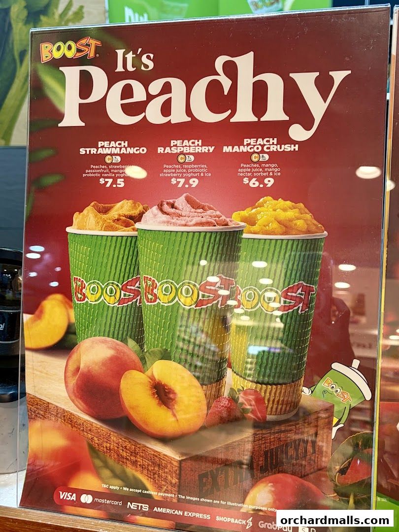 Menu page for Boost Juice  313 Somerset