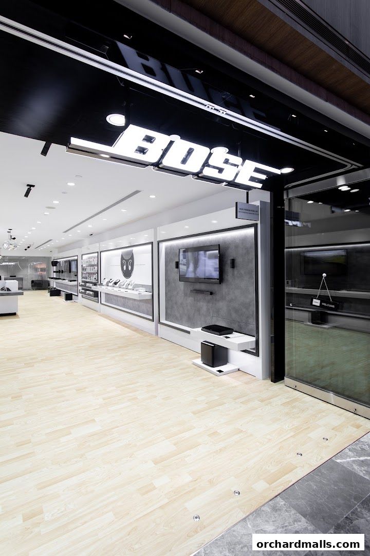 Bose  Paragon