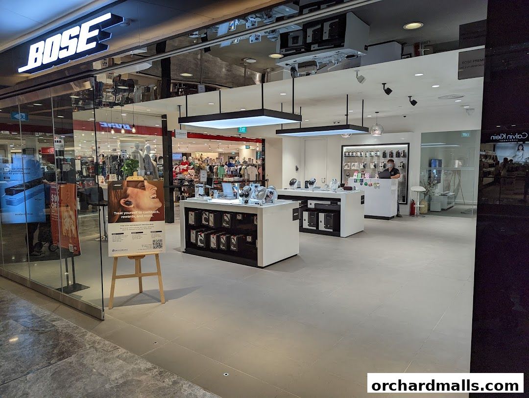 Bose  Paragon