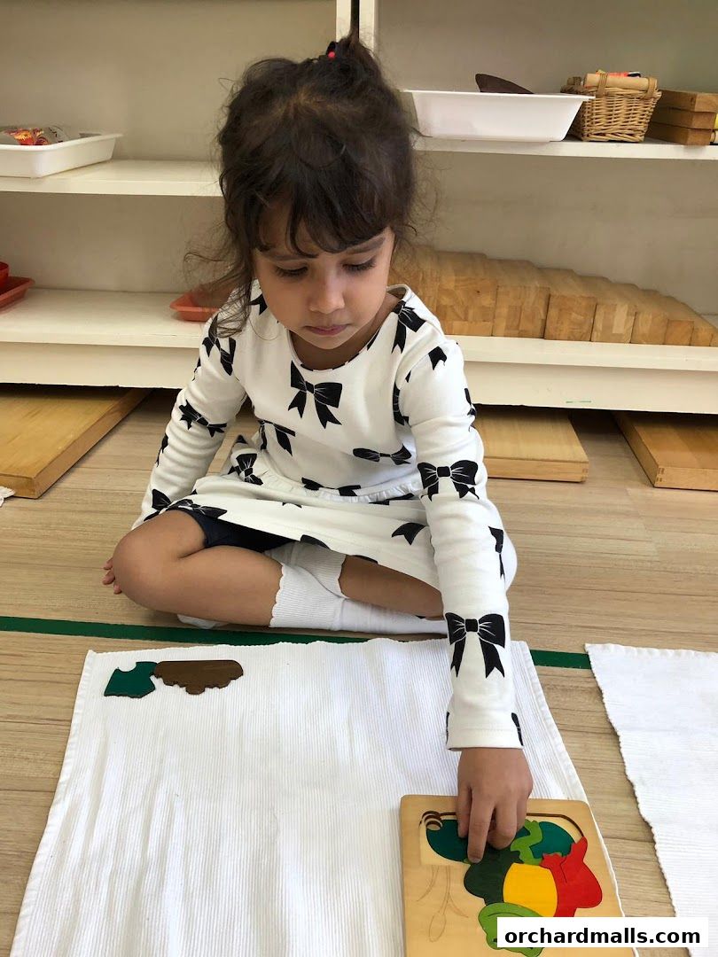 A young child is engaged in a puzzle activity at a Montessori learning center.