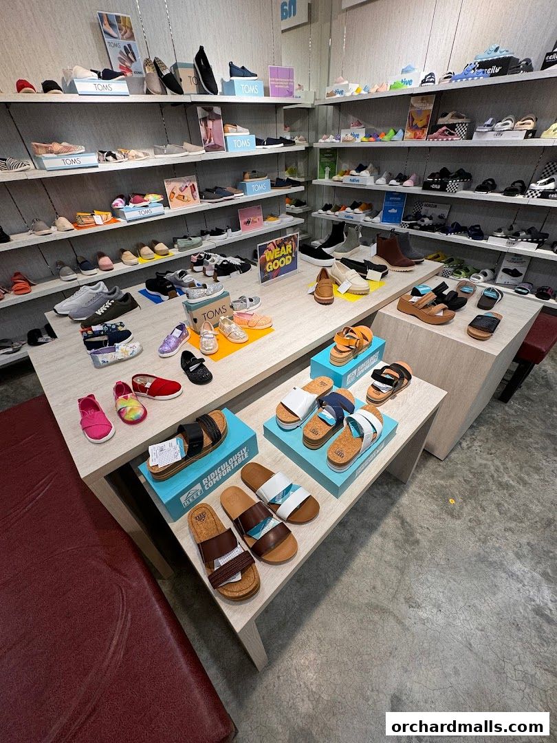 A well-organized shoe store displaying a wide variety of footwear on shelves and display tables.