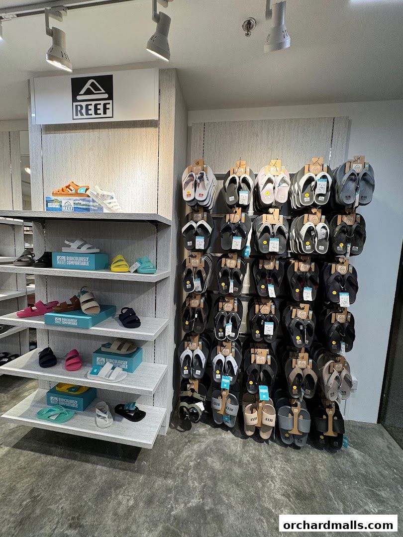 A display of Reef brand sandals and flip-flops on shelves and hanging racks.