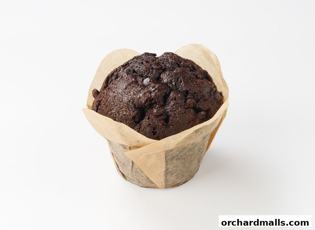 A rich chocolate muffin with chocolate chips, presented in a decorative paper liner.