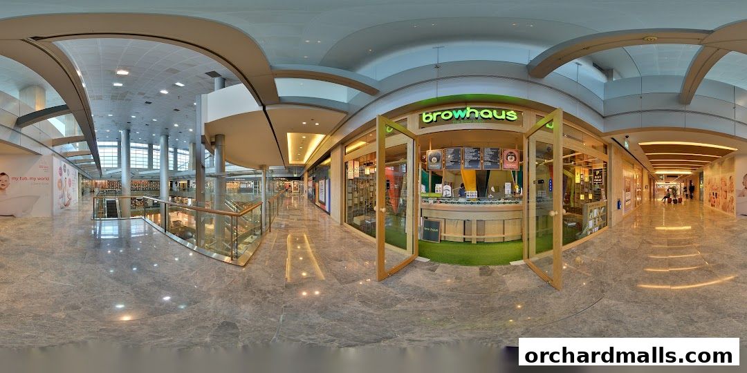 Browhaus Paragon