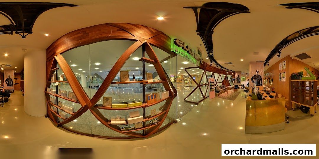 Interior view of Browhaus Wheelock, showcasing a modern reception and retail display.