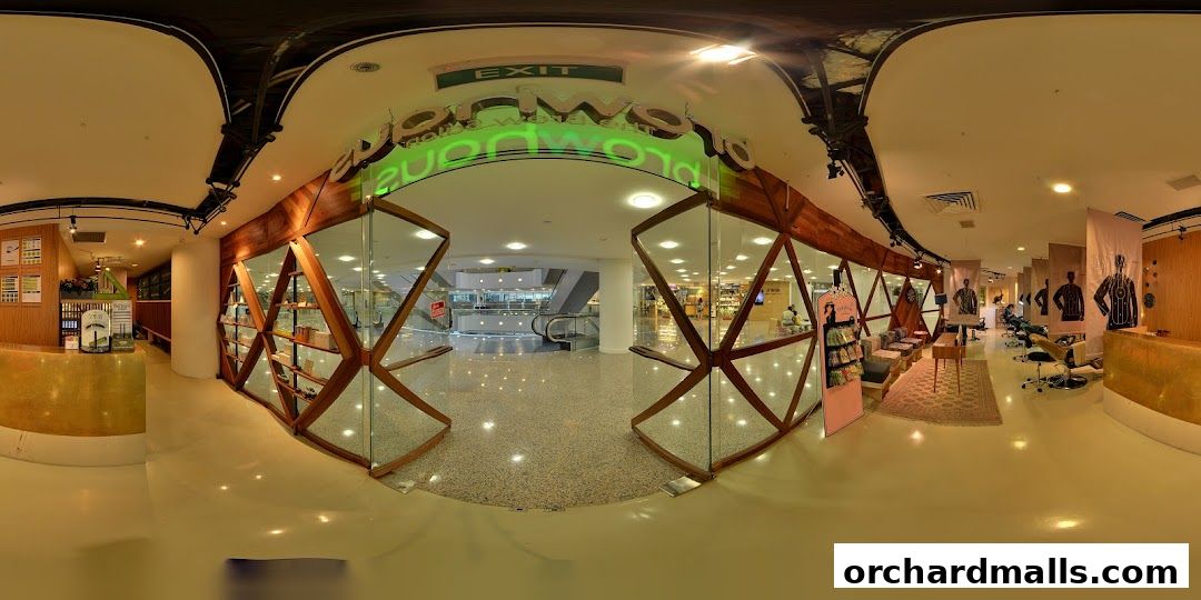 Interior view of Browhaus Wheelock, showcasing treatment stations and retail displays.