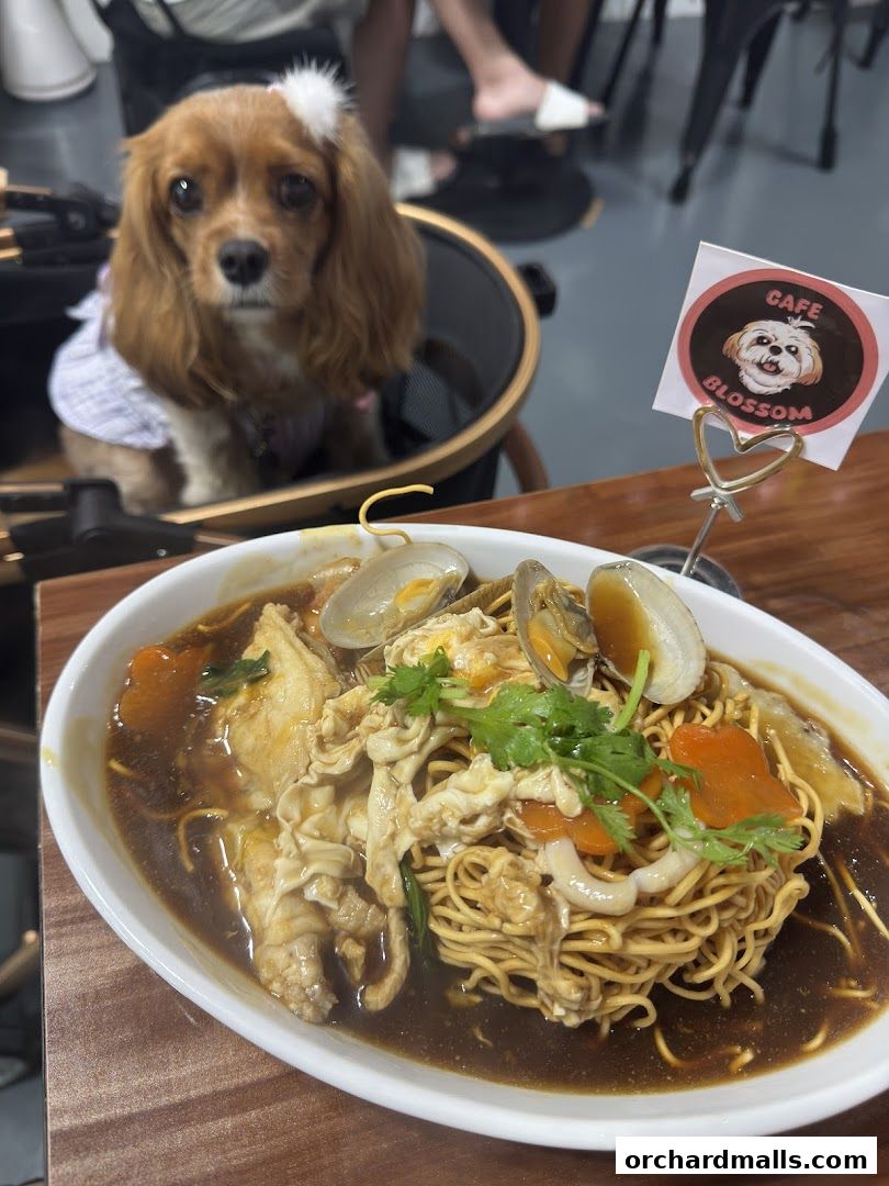 A dog in a shirt sits in a high chair next to a bowl of noodles.