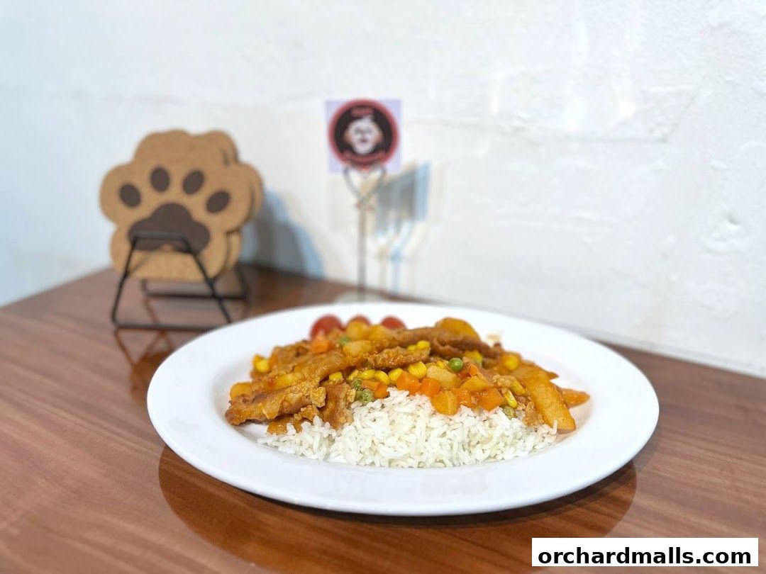 A plate of rice topped with meat and vegetables, with paw-shaped coasters in the background.
