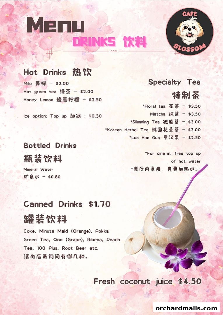 A menu for Cafe Blossom featuring hot, bottled, canned, and specialty drinks.