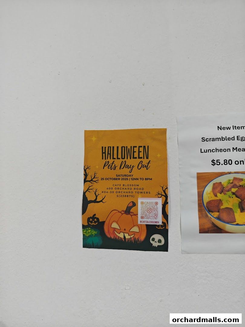 A Halloween-themed flyer for Cafe Blossom's 'Pets Day Out' event and a menu item.