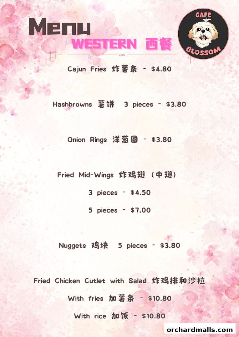 A menu from Cafe Blossom featuring Western dishes and fried items.
