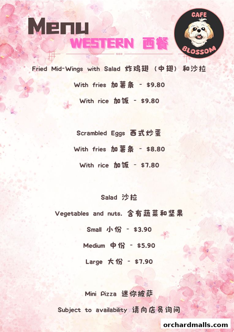 A menu from Cafe Blossom featuring Western dishes like fried wings, scrambled eggs, salad, and mini pizza.