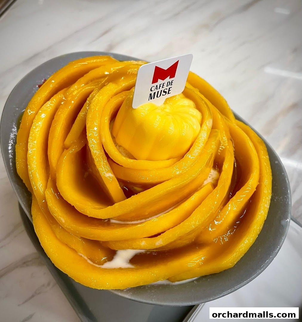 Cafe de Muse - The Restaurant