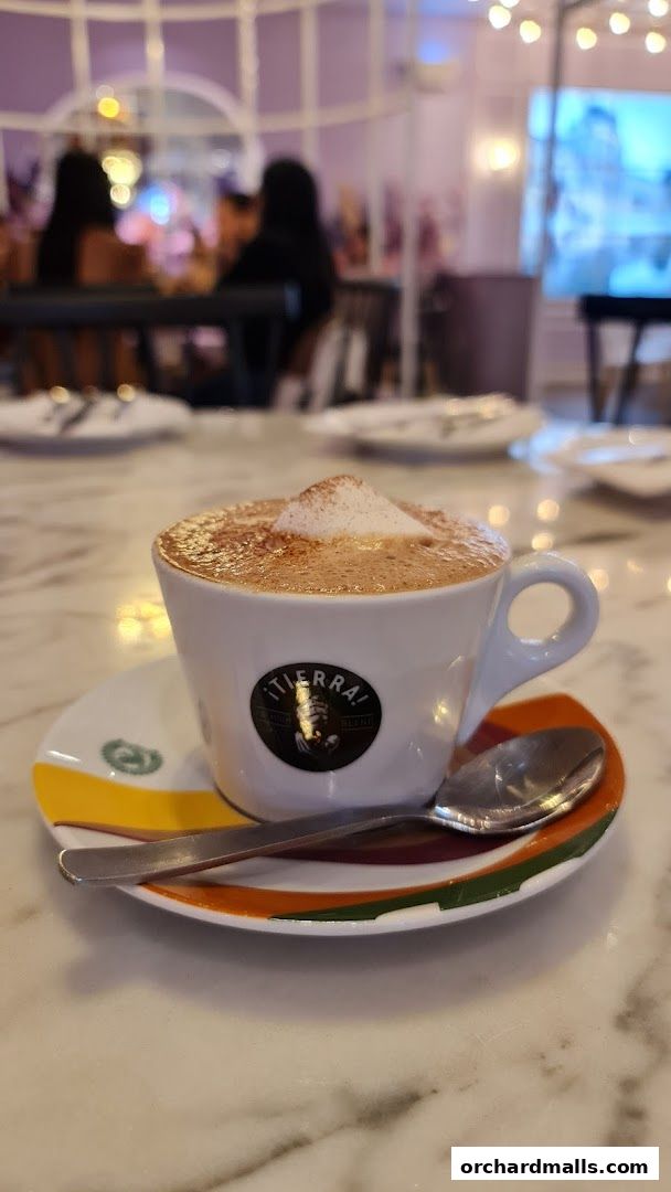 A close-up of a cappuccino with foam and cinnamon in a white cup on a saucer.