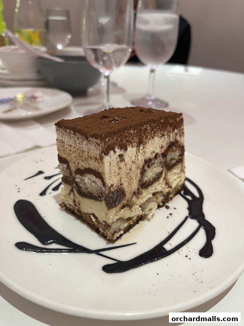 A slice of tiramisu cake with cocoa powder dusting and chocolate sauce art.